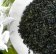 Nettle Tea (Urtica dioca)