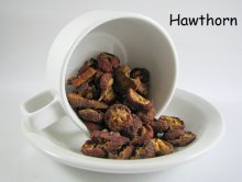 Hawthorn Berries 600 g