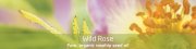 Wild Rose Skincare range
