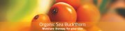 Sea Buckthorn Skincare Range