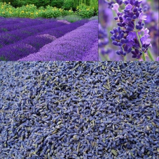 Lavender Tea - Click Image to Close